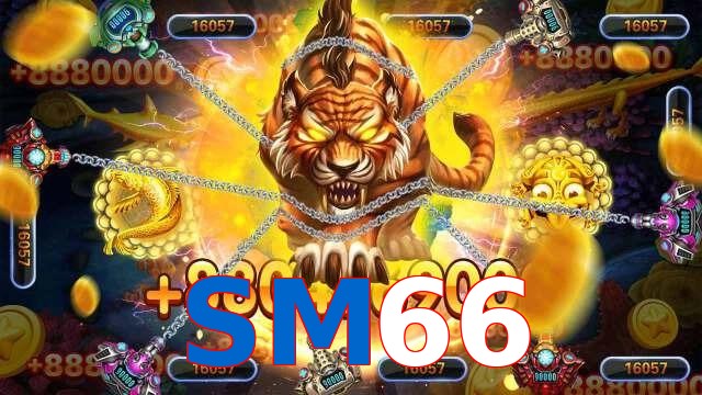 SM66