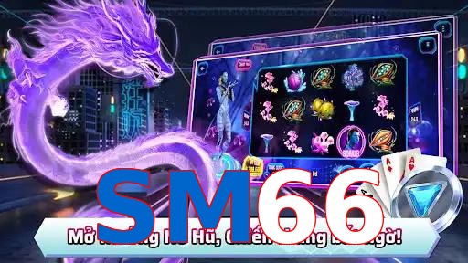 SM66