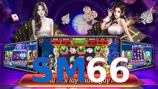 SM66