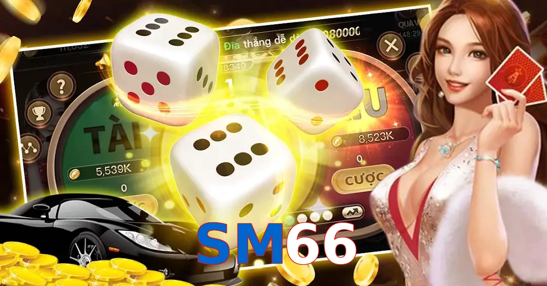 SM66